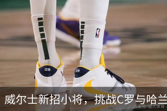 威尔士新招小将，挑战C罗与哈兰德的疯狂之旅